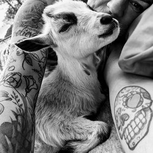 Meet your Posher, Krystal